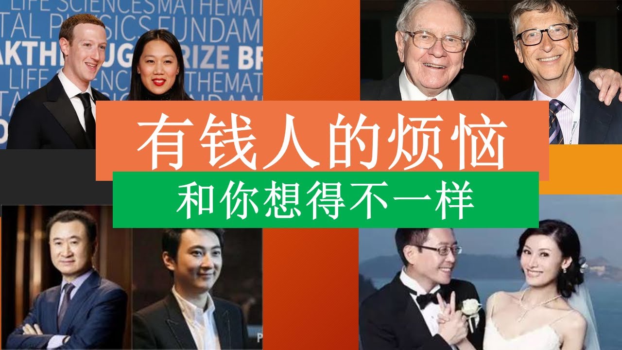 63 上市公司ceo年薪 薪资结构解密amazon 劈柴哥 Elon Musk Youtube