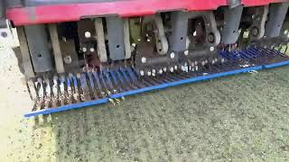 Ninja Tines Original