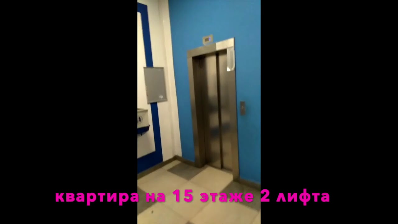 Трибуца 7 студия - YouTube