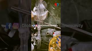 Cardiac Perfusionist | Cardiovascular perfusionists