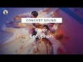 CONCERT SOUND ENHYPEN Fever 
