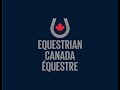 EC National Equine Disease and Welfare Surveillance Call - October 2019