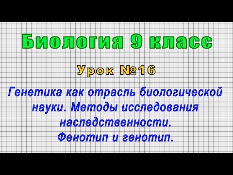 Биология 9 класс (Урок№16 - Генетика как отрасль биологической науки. Фенотип и генотип.)