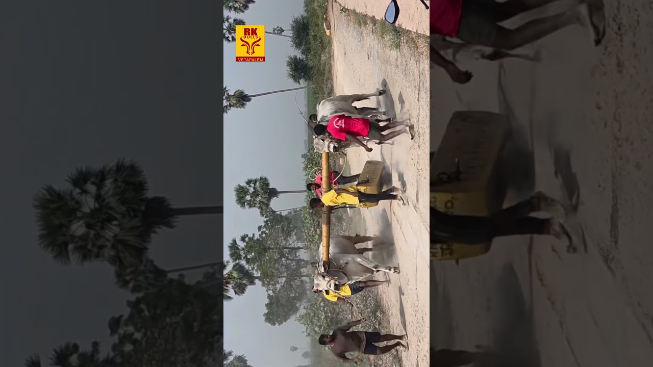 Mahanandi seniors Narasimha - lion