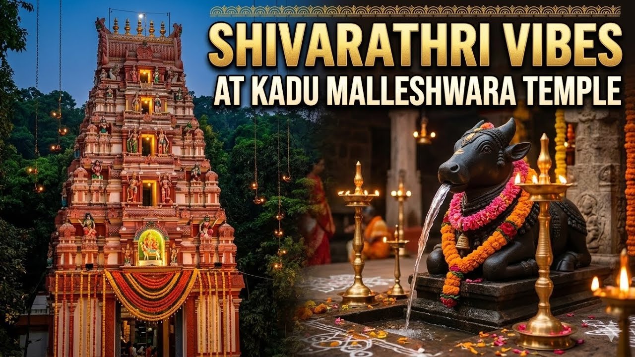 Shivaratri Vibes at Kadu Malleshwara ಕಾಡು ಮಲ್ಲೇಶ್ವರ ದೇವಸ್ಥಾನ🙏 | Temple Darshan + Street Walk |
