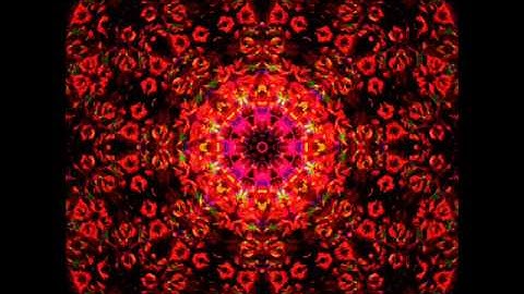 404 ERROR & the TOMCAT by Nick108