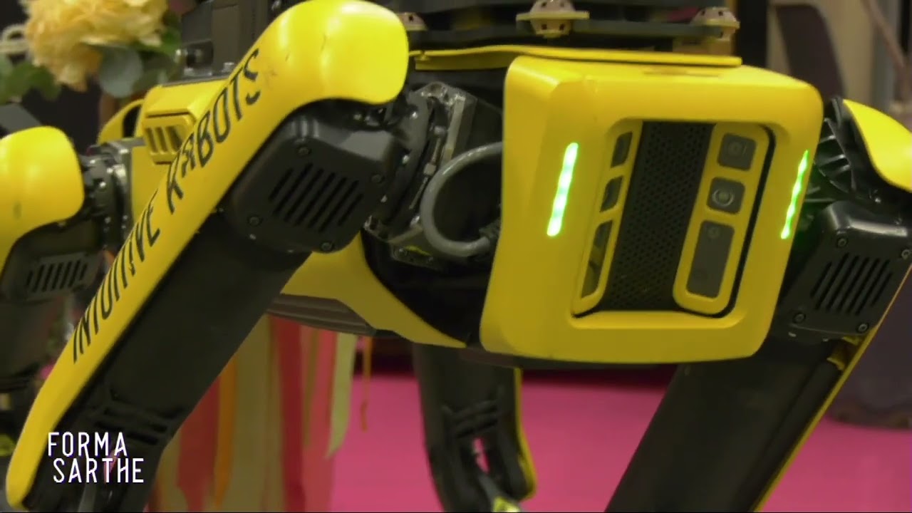 Formasarthe 2024 : En direct du salon avec Flavien Rousseau et Julien Juliff !