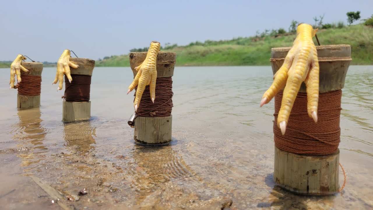 Fishing video, Hooking fishing video with homemade Bamboo wheel Hook trap system. 
