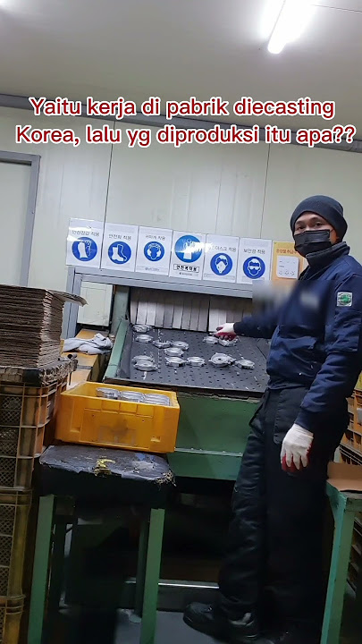 kerja di korea pabrik #shorts