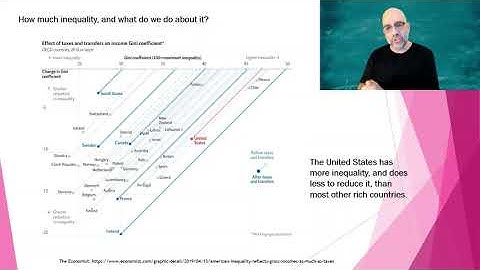 Measuring Inequality with the Gini Index