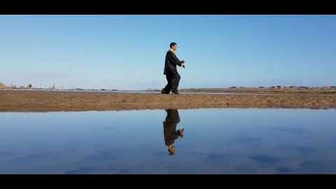 Xingyi Quan example Routine - Feilong Guiding Taolu. #FRMW