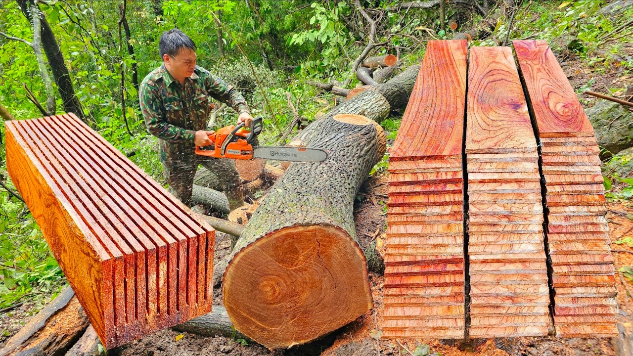 100 Days Cutting Huge Logs into Many Wooden Planks and House Pillars with a Husqvarna Chainsaw