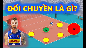 Đối Chuyền Là Gì? - Vị Trí và Cách Thức Thi Đấu Trong BÓng Chuyền - Móm TV reaction