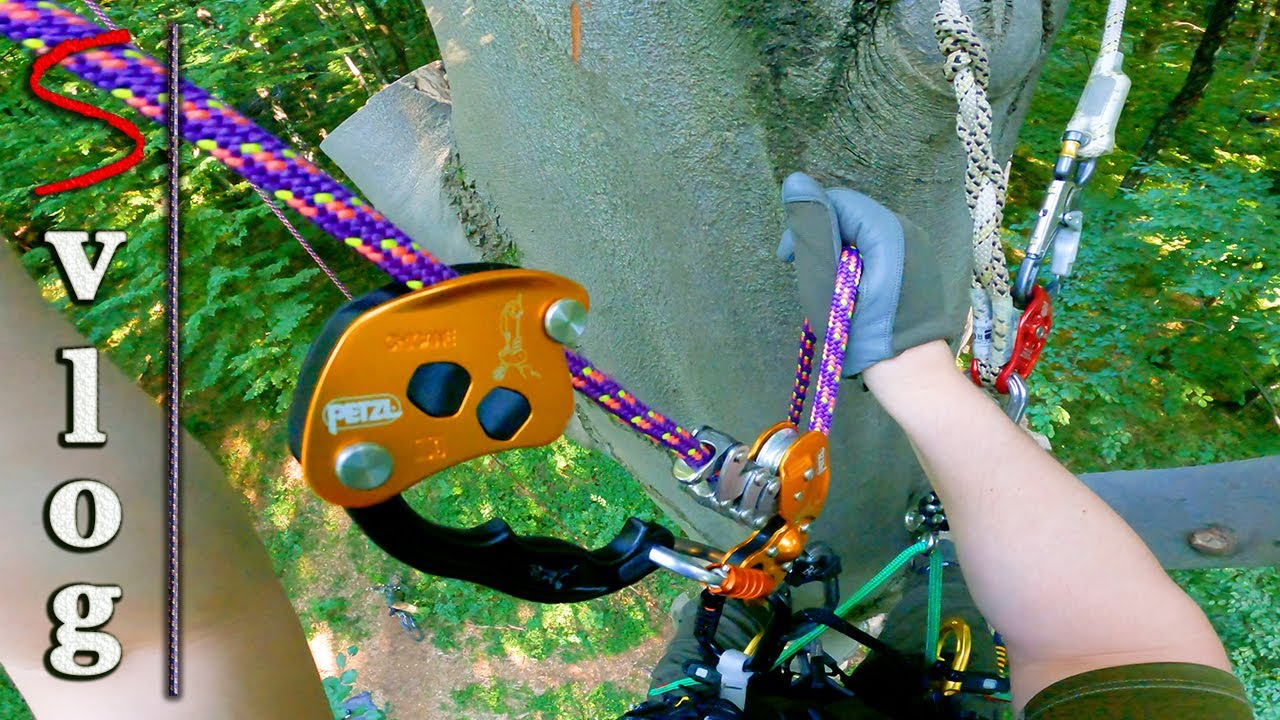 Tree Climbing First Rope Walking with Petzl Chicane + ZigZag PLUS