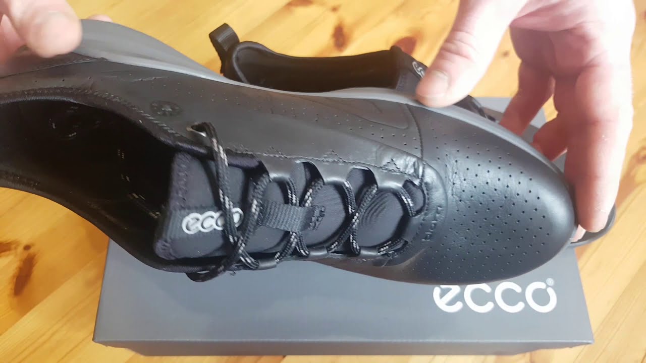 ecco biom omniquest review