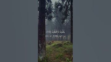 سورة الانفطار #قرآن #المصحف #quran #الرحمن #ماهر_المعيقلي #سورة_الإنفطار #السكينة #تلاوة #راحة_نفسية