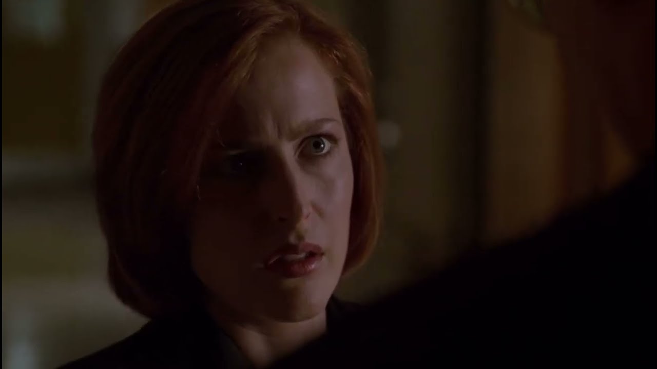 The X-Files: Skinner & Scully || Stay