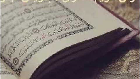 سورة البيّنة القارئ ادريس ابكر    Surat Al Baiyina   YouTube