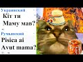 Кiт Ти Маму Мав на разных языках мем!