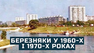 Березняки у 1960-х і 1970-х роках