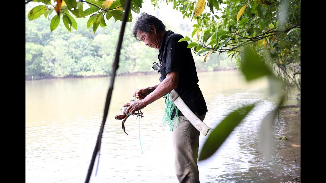 The Pulau Ubin crab catcher YouTube