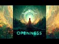 Astronaut ape  openness full album