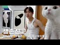 혼자서도 잘 해요 #2 | [BB's Quarantine Vlog]