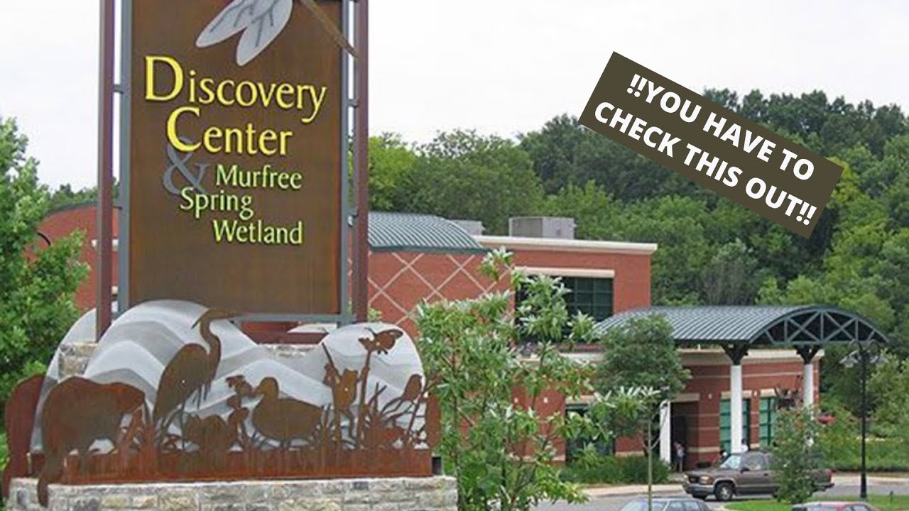 We Went To The Discovery Center!!