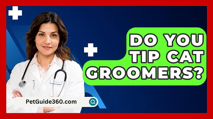 Do You Tip Cat Groomers? - PetGuide360.com
