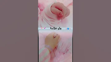 مية سلامة يايوم 