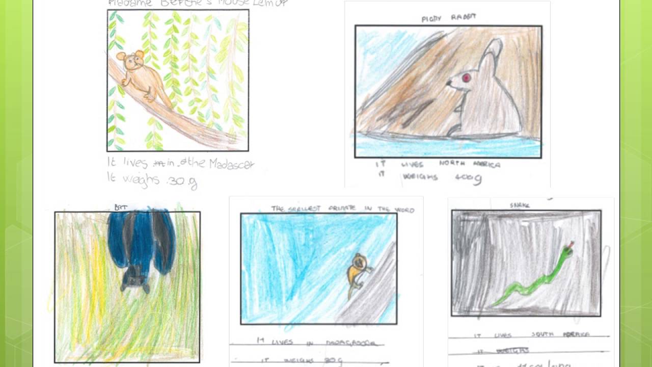 CORSI DI INGLESE PER BAMBINI - MICROCOSMIC WORLD BOOK