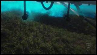 Buffelgrass Project 2010.Flv