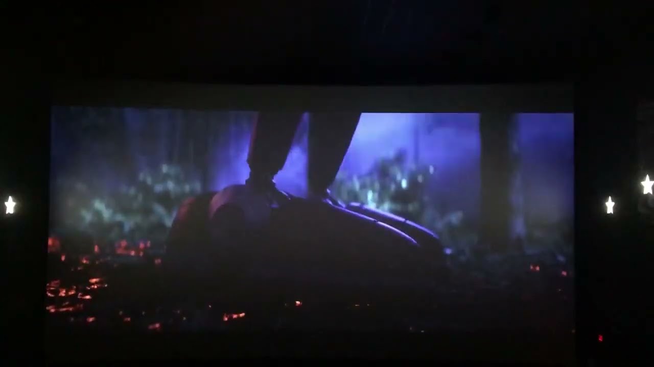 Sonic movie 3 theatre reaction (FAN EVENT)