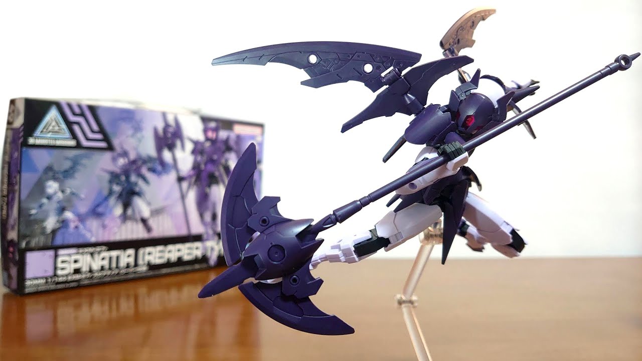 【黒化異常型】P.eversmani（1ペア、シベリア産） トカラネブトクワガタ 大型ペア ♂22.5mm♀17.2mm 悪石島