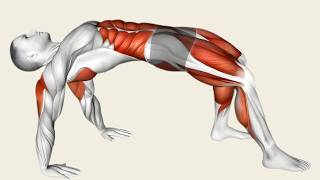 11-Min Pelvic Floor Flexibility + Kegel Routine