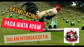 OXY RID - MEMBASMI TUNTAS CACING MATA.