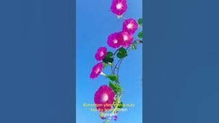 Kenangan Yang Manis Dulu (Jhon Seran)