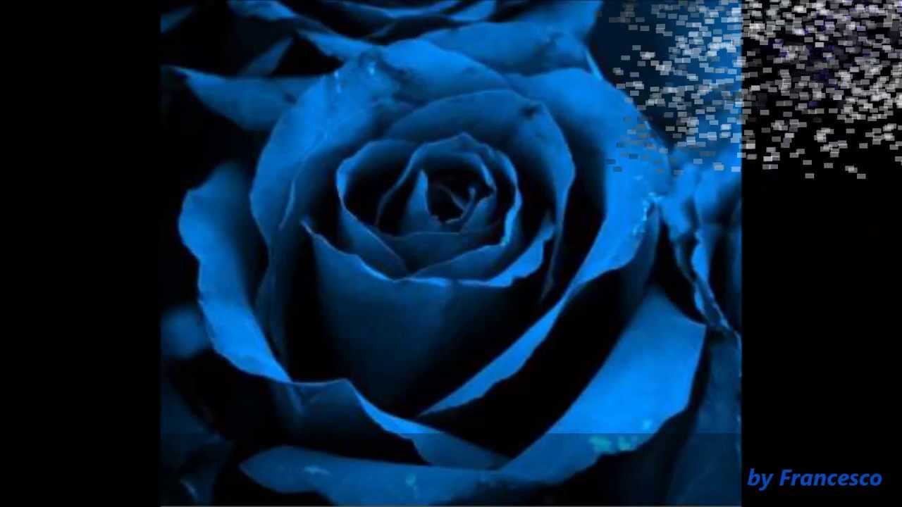 洋楽のおすすめインストバンド 海外の人気バンド 5ページ