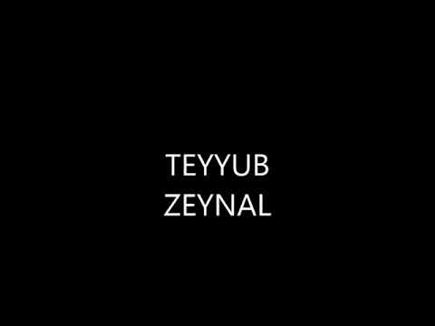 Teyyub Zeynal