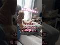 のあちゃんを怒らせるわんぱく3兄弟🐶🐾✨️