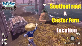 How to Craft Smoke Bomb (Sootfoot root & Caster Fern Location) Pokemon Legends Arceus