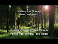 145 мгц и 27 мгц в условиях леса | Практическое сравнение диапазонов связи