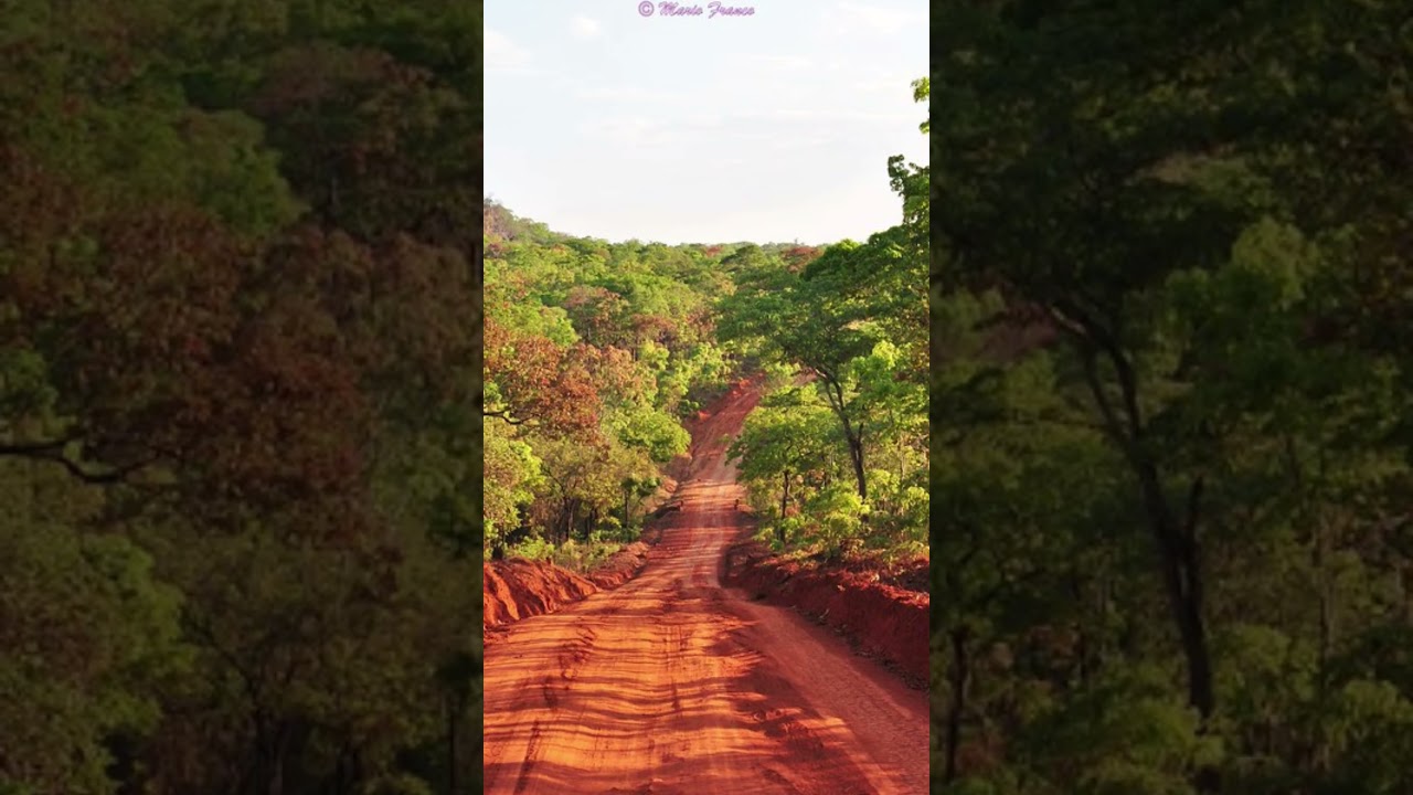 Essa é a realidade do Moçambique real, umas das estradas do meu país de Moçambique
