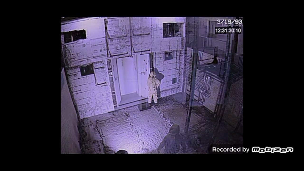 the project kv31 test 1-6 [not mine lol]