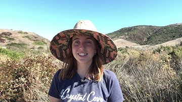 Module 3 Launch Video 3