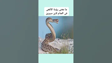 تفسير رؤية الأفعى لابن سيرين فى المنام 