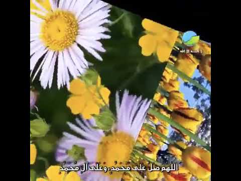 اللهم صل على ذى القدر العلى سيدنا محمد الحبيب النبى عليه افضل الصلاة والسلام