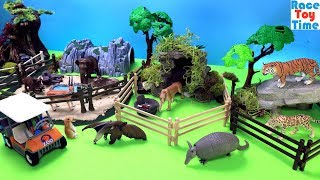Toy Zoo Wild Animals - Fun Animal Toys For Kids