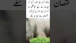 Big Move To Save Head Qadirabad