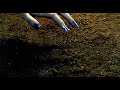ただ、ただ、痒い (関 悦心) / Just. So. Itchy. (GUAN Yuexin)